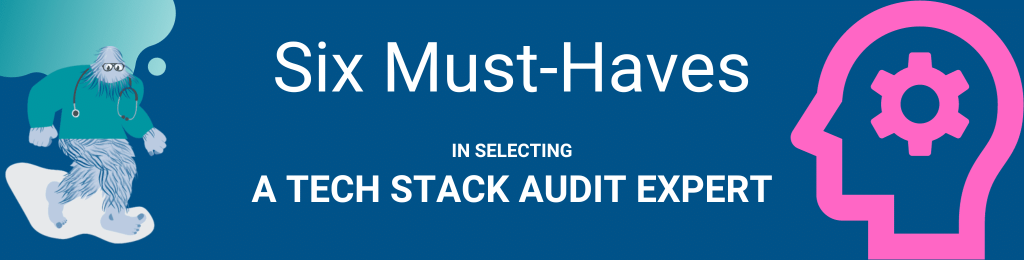 Select a Tech Stack Audit Expert: Finding Your Perfect Match